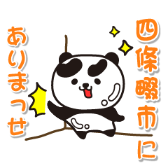 osakafu shijiyonawateshi Glossy Panda