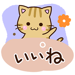 Cute Kijitora cat7