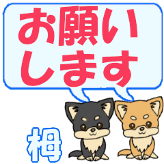 Tsuga's letters Chihuahua2 (2)