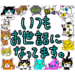 CAT Japanese and English stickers