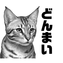 AI・モノクロ猫③(会話)