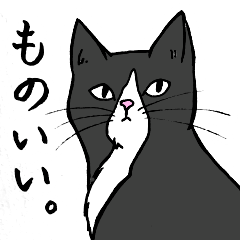 Sumo cats and tanimachi cats sticker