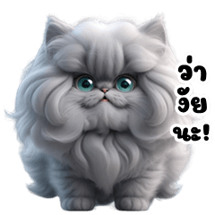 Funny Persian cat (Big Stickers)