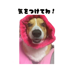 Beruru_20240513211106