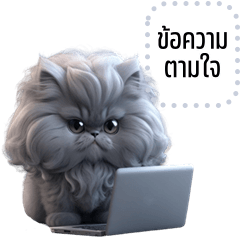 Message Stickers: Funny Persian cat