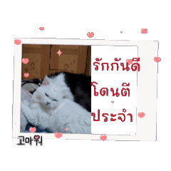 saichon_20240514200831