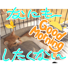 marumarurun_20240513224154