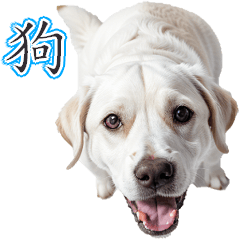 dog Sticker-1ta(40types)