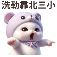 Little Bear Cat Speak Taiwanese