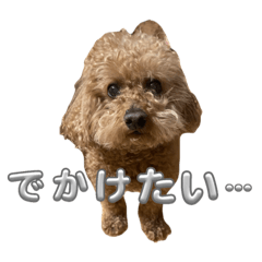 R_20240514010851