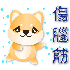 Cute Shiba--practical for daily use