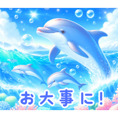 イルカの魅力:日本語