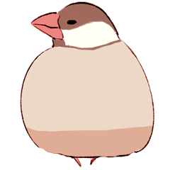 A little cute Javasparrow
