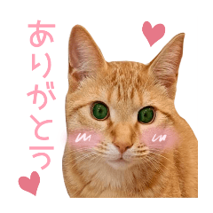 risasa_20240514203839