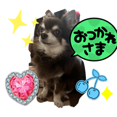 naono_20240514204832