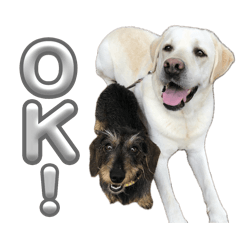 hinanina_20240513141048