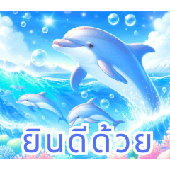 Dolphins Delights:Thai