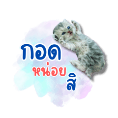 myyou_20240515142345
