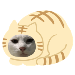 (Cat sticker)