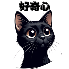 黒猫の表情24 黒猫エモーションズ