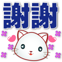 實用語-- 可愛白貓