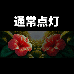 Japanese hibiscus Animation popupSticker