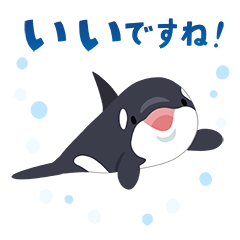 Orca everyday stickers