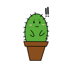 Hello mini cactus