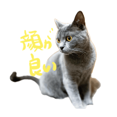 Kaoleen_20240514232929