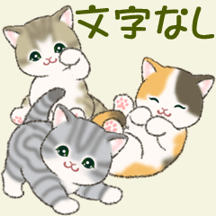 Roundish and cute kittens (No words)
