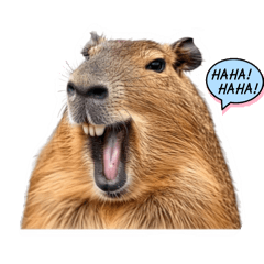 Funny Capybara Set