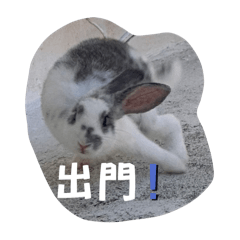 兔兔香腸2