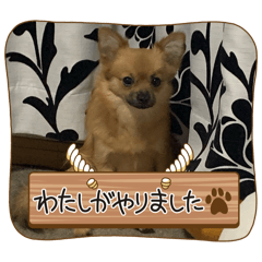 pako_20240515143913