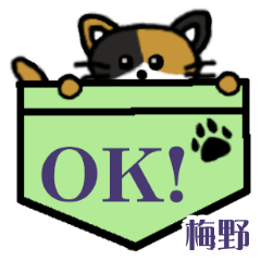 Umeno's Pocket Cat's  [2]