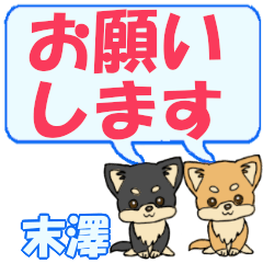 Matsusawa's letters Chihuahua2