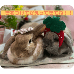 manmaru_20240515215425
