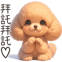 Poodle Puppy(Chinese)