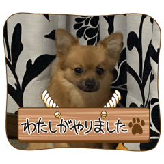 pako_20240515234607