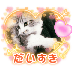 chiitan_20240516105236