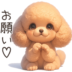 Poodle Puppy(Japanese)