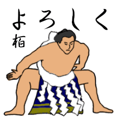 Kashiwa's Sumo conversation (2)