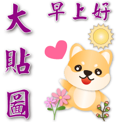 Practical big stickers--cute Shiba