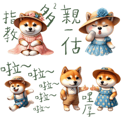 Shiba Oni -  Daily Expressions of Care