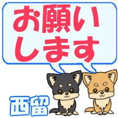 Nishitome's letters Chihuahua2