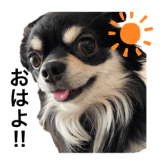 sugiso_20240516212036