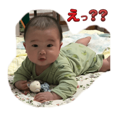 peper_20240516223657