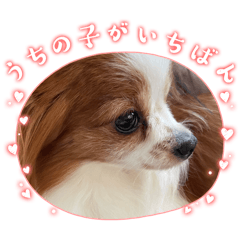 amairo_20240517212107