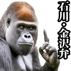 Gorilla in Kanazawa