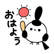 wachawacha_20240518002828