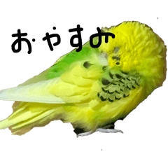 SATOUSANN_20240517202345